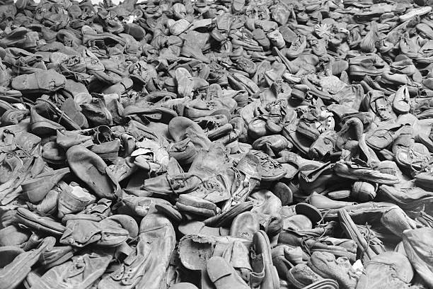 zapatos de expulsado del país en auschwitz - birkenau fotografías e imágenes de stock