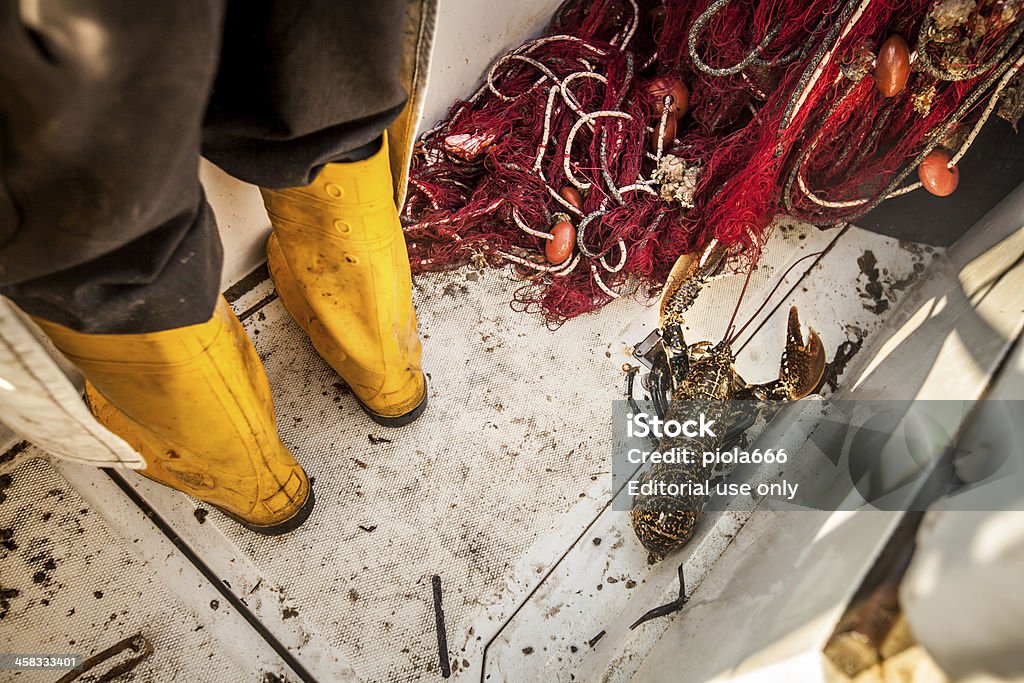 Homar na rybackich łodzi - Zbiór zdjęć royalty-free (Część)