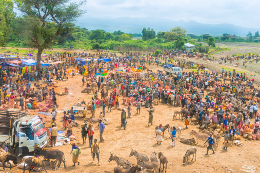 Adis Ababa, Ethiopia - November 5, 2012: Farmer's market in Ethiopia. Large group of people, farmers in colorful clothes on broad dirt plateau, some trees in background. In front standing some donkies and cows. People are selling and buying different goods, food and other supplies.