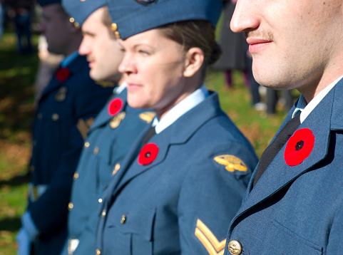 Dartmouth, Canada - November, 11 2012:  Wearing their poppies, members of Canada's Armed Forces (Airforce) stand at attention during the Remembrance Day service in Dartmouth Nova Scotia.  Hundreds of people turn out each year at this cenotaph to remember those that have fallen during times of war.