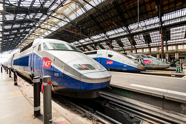 High speed TGV trains parked at Gare de Lyon Station stock photo