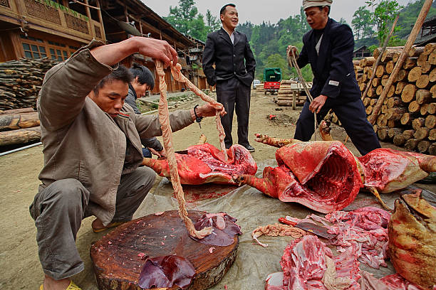 Asians, Chinese peasants, farmers, gutting pig on village street Zengchong village, Guizhou, China - April 12, 2010: Chinese farmers are sorted pig innards in Zengchong Dong Village, April 12, 2010. Rural china. pig farmer china stock pictures, royalty-free photos & images