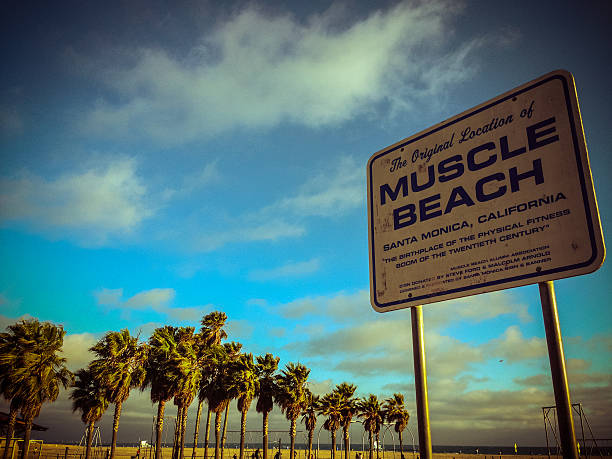 a localização original de praia muscle, santa monica - santa monica fotos imagens e fotografias de stock