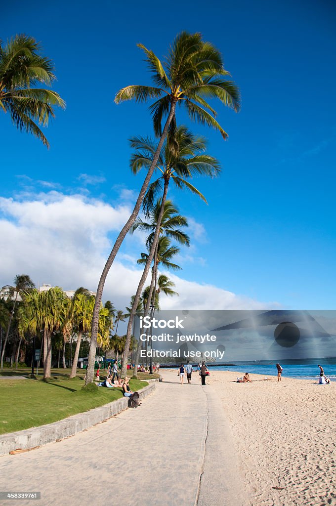 Vue de la plage de Waikiki - Photo de Arbre libre de droits