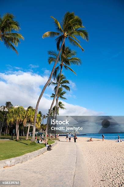 Photo libre de droit de Vue De La Plage De Waikiki banque d'images et plus d'images libres de droit de Arbre - Arbre, Arbre tropical, Bain de soleil