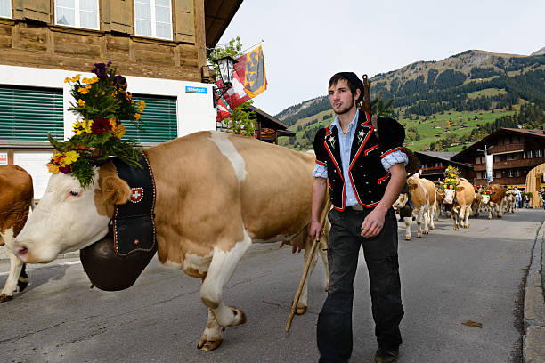 スイス牛の後をひく alp - switzerland cow bell agricultural fair agriculture ストックフォトと画像