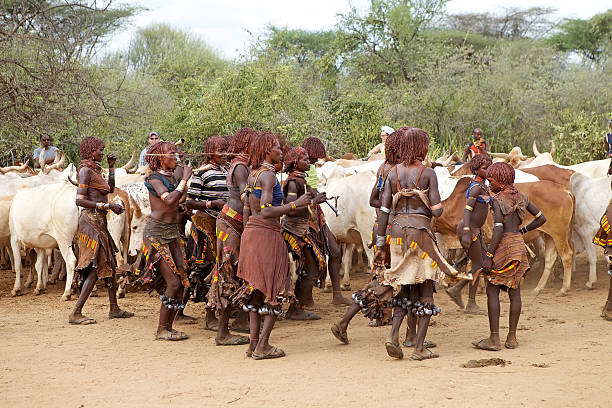 アフリカの女性と牛 - dancing africa ethiopian culture ethiopia ストックフォトと画像