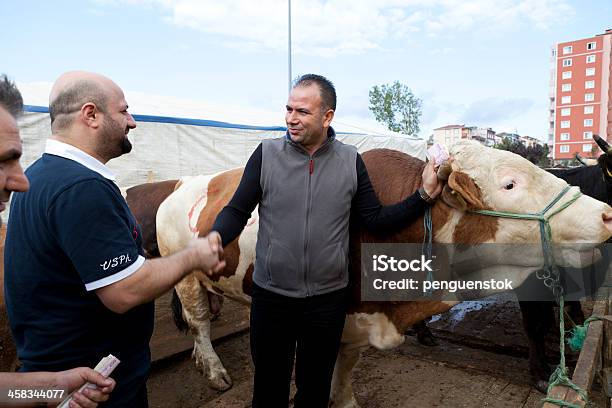 Mercado De Animais Em Istambul - Fotografias de stock e mais imagens de Acordo - Acordo, Adulto, Animal