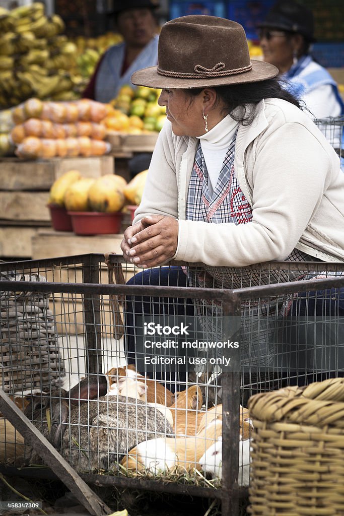 Frau Verkauf von guinea pigs in the Saquisili market, Ecuador - Lizenzfrei Amerikanische Kontinente und Regionen Stock-Foto