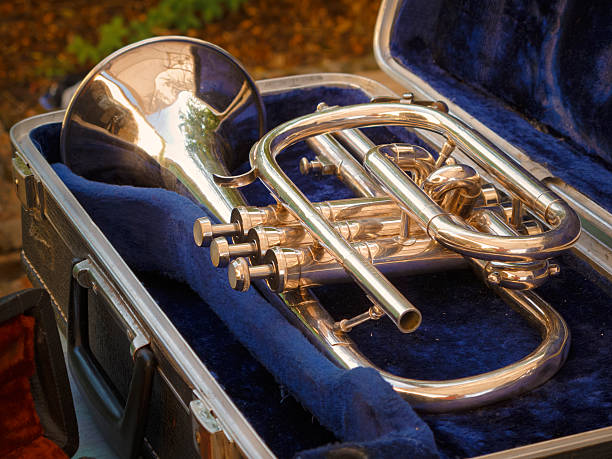 vintage trumpet - brugine zdjęcia i obrazy z banku zdjęć