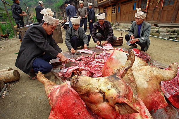 Asians cut up carcass of pigs in a village street. Zengchong village, Guizhou, China - April 12, 2010: Asian farmers are pig producers, butchered pig carcasses on the road, in the Chinese village of ethnic minorities, Zengchong Dong Village, April 12, 2010. pig farmer china stock pictures, royalty-free photos & images
