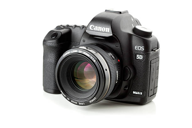 canon 5d mark ii - single lense reflex стоковые фото и изображения