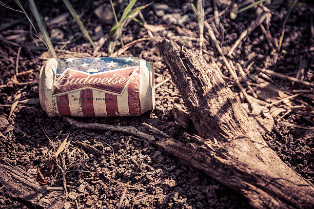 desechar la cerveza - budweiser fotografías e imágenes de stock