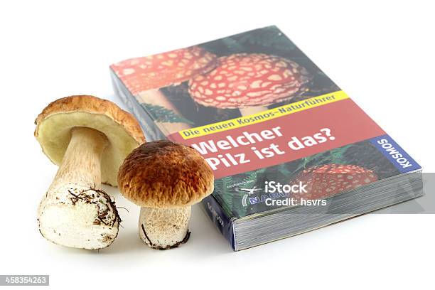 Photo libre de droit de Déterminer Variétés De Champignons De Champignon Réserver banque d'images et plus d'images libres de droit de Apprentissage