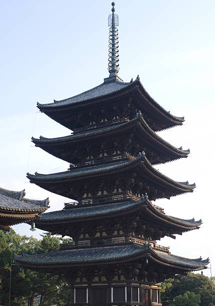 pagoda of kofuku-ji in nara, japan - 興福寺 奈良 個照片及圖片檔