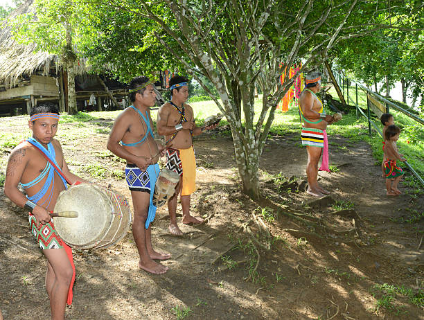 엠베라 타탕카 및 음악 머리밴드 - panama embera indian native american indigenous culture 뉴스 사진 이미지