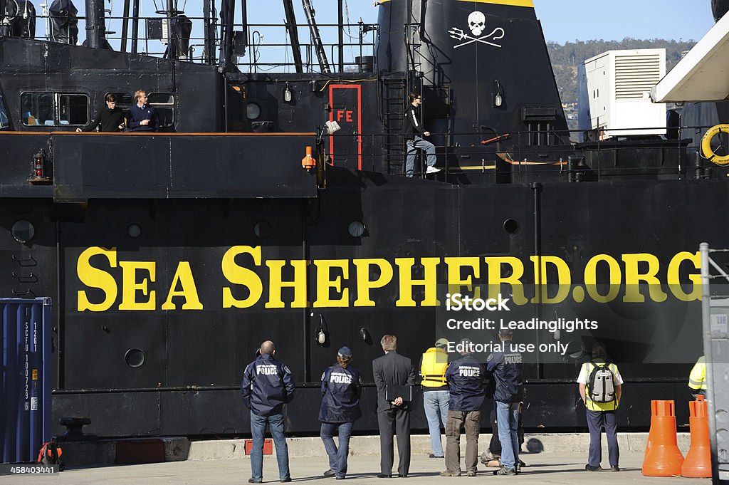 Sea Shepherd Ship M/Y Steve Irwin Hobart, Tasmania, Australia - March 5th, 2011: Sea Shepherd Conservation Society\'s vessel, M/Y Steve Irwin, arriving at its mooring at Hobart, Tasmania. The ship has just returned from the Southern Ocean where it has been endeavouring to prevent the operations of a Japanese whaling fleet. On board are crew members and, on the quay, Federal police and customs officials waiting to board. All persons are unidentified. Australia Stock Photo