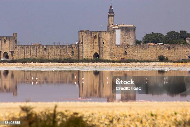 Aiguesmortes Paredes A Su Alrededor Y Rosa Aves En La Salina Foto de stock y más banco de imágenes de Agua