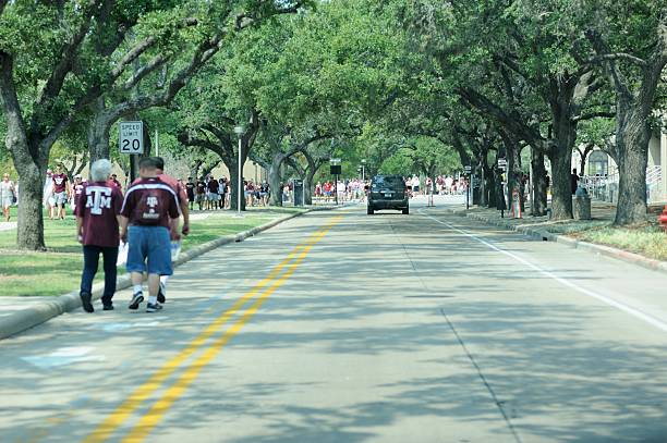 팬수 다빈치가 종합경기장, 축구 경기 - university of alabama at tuscaloosa 뉴스 사진 이미지