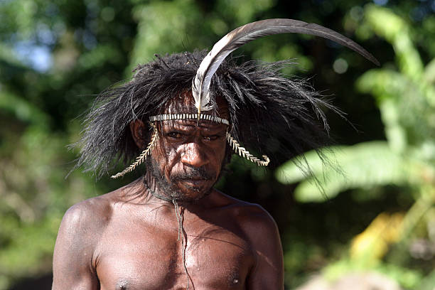 Papuan man in traditional attire. Wamena,Papua province, Indonesia - August, 19 2004: Portrait of a papuan male in traditional attire. The head ornament used by the person is made from bird feathers. Photo is taken at a cultural event organized for visitors. dani stock pictures, royalty-free photos & images