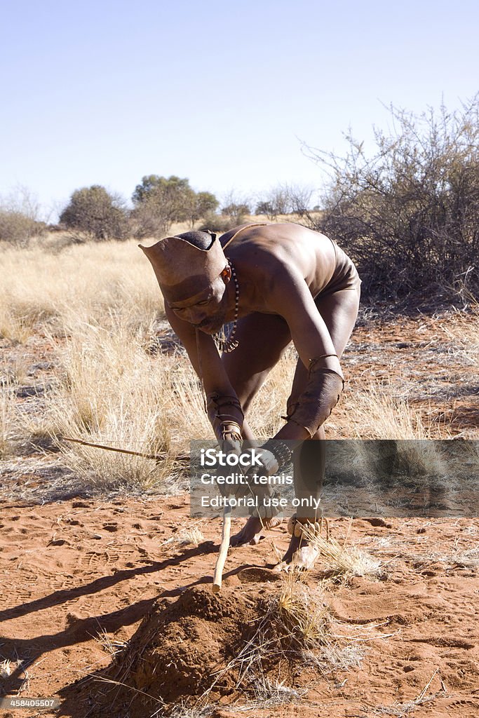 bushman marche - Photo de Adulte libre de droits