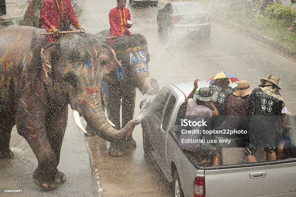 Elefante baile y salpicaduras de agua en Songkran Festival. - Foto de stock de Adulto libre de derechos