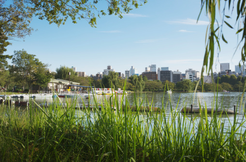 Tokyo, Japan - October 7, 2013: The Shinobazu pond in the Ueno Park on a sunny afternoon in fall. Pedal boats and rowboats are seen on the the pond and at a rental at the shore. Reeds are seen in the foreground and the Tokyo skyline in the background.