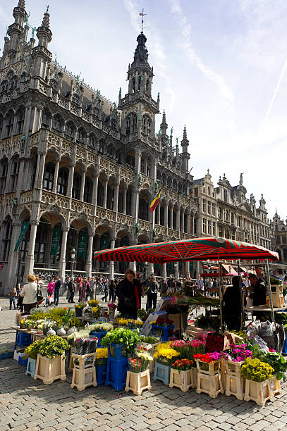 historique grand-place avec marché de fleurs et de bâtiments, bruxelles, belgique - brussels belgium market flower market photos et images de collection