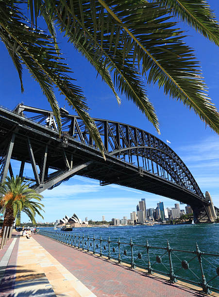 sydney harbour bridge et de l'opéra - sydney harbor bridge sydney opera house vertical australia photos et images de collection