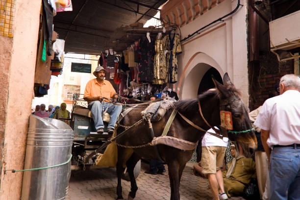 Marrakesh, Morocco - September 25, 2008: a man on cart pulled by a donkey in an alley of the medina of Marrakesh in Morocco.