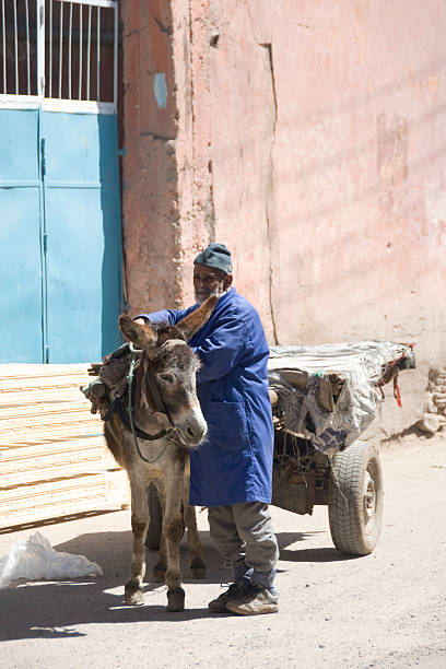 Beast Of Burden Stock Photo - Download Image Now - Adult, Africa, African Culture - iStock Beast Of Burden Stock Photo - Download Image Now - Adult, Africa, African Culture - iStock