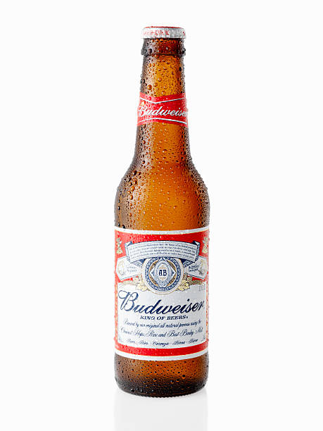 fría botella de cerveza budweiser - budweiser fotografías e imágenes de stock