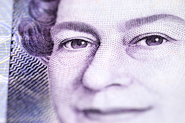 Finance  concept hand holding inflated 20 euro bank note