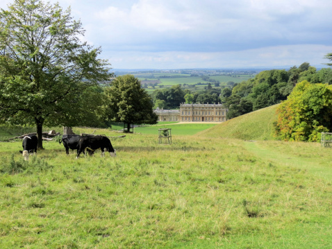 Bath, UK - September 14, 2013: View of Dyrham Park, the house and its and cattle from the east entrance