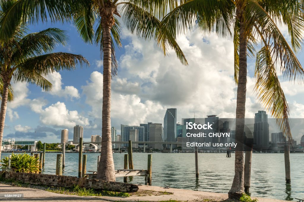 Tropische Miami - Lizenzfrei Miami Stock-Foto