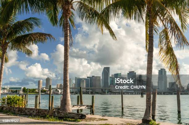 Tropische Miami Stockfoto und mehr Bilder von Miami - Miami, Stadt, Amerikanische Kontinente und Regionen