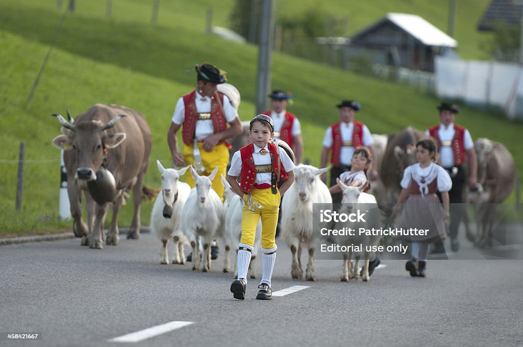 parade de vache - Photo de Suisse libre de droits