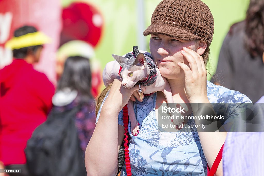La donna attesa di un Gatto sfinge (peterbold) - Foto stock royalty-free di Adulto