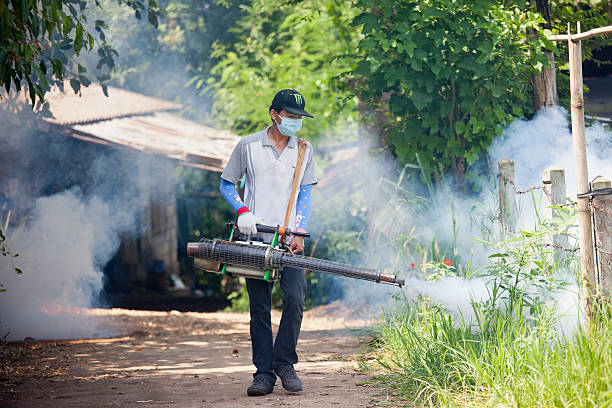 комар искоренения. - exterminator pest control equipment insecticide manual worker стоковые фото и изображения
