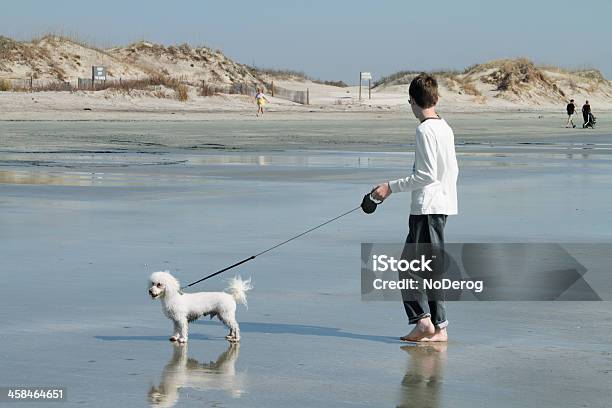 Andar Cão Na Praia - Fotografias de stock e mais imagens de Adolescente - Adolescente, Andar, Ao Ar Livre