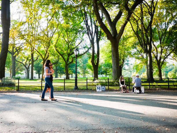 literacki chód późne popołudnie central park - literary artist zdjęcia i obrazy z banku zdjęć