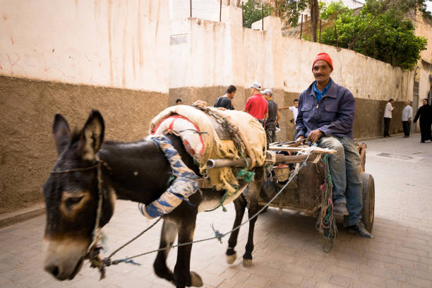 Fez, Morocco - September 18, 2008: a man on cart pulled by a donkey in the medina of Fez in Morocco.