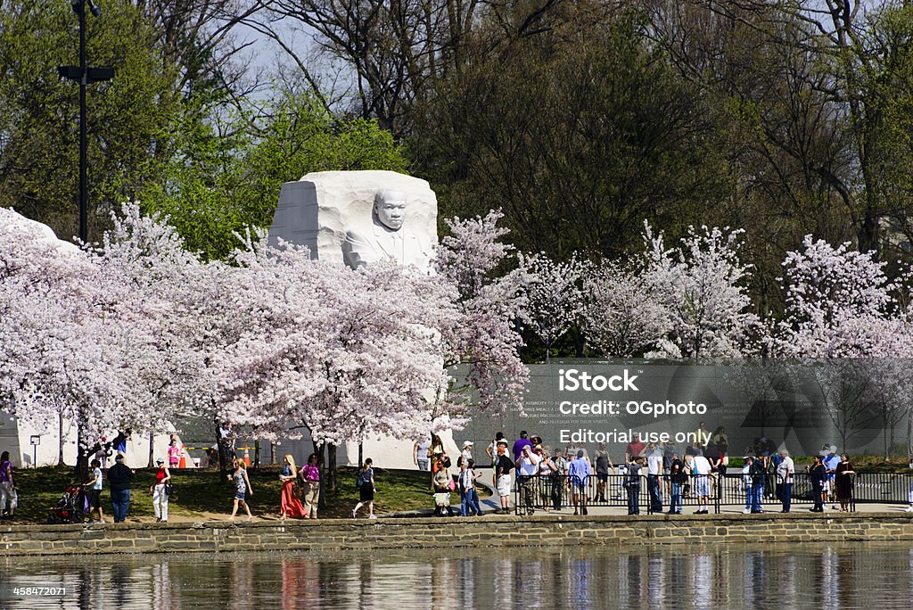 Martin Luther King Jr.  Memorial w spring - Zbiór zdjęć royalty-free (Martin Luther King Jr.)