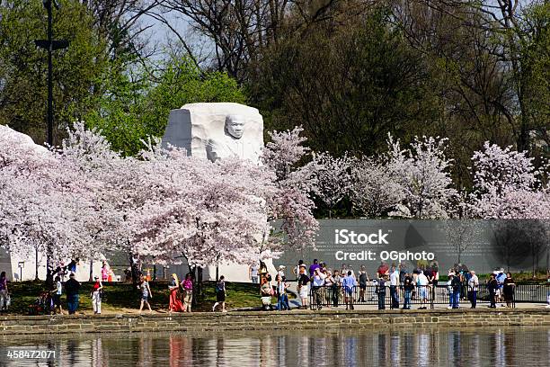 Martin Luther King Jr Memorial W Spring - zdjęcia stockowe i więcej obrazów Martin Luther King Jr. - Martin Luther King Jr., Pomnik Martina Luthera Kinga Jr. - Waszyngton DC, Ameryka Północna