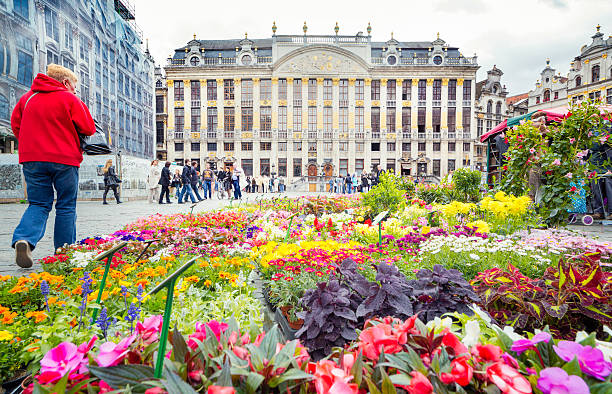 fleurs sur la grand-place de bruxelles - brussels belgium market flower market photos et images de collection