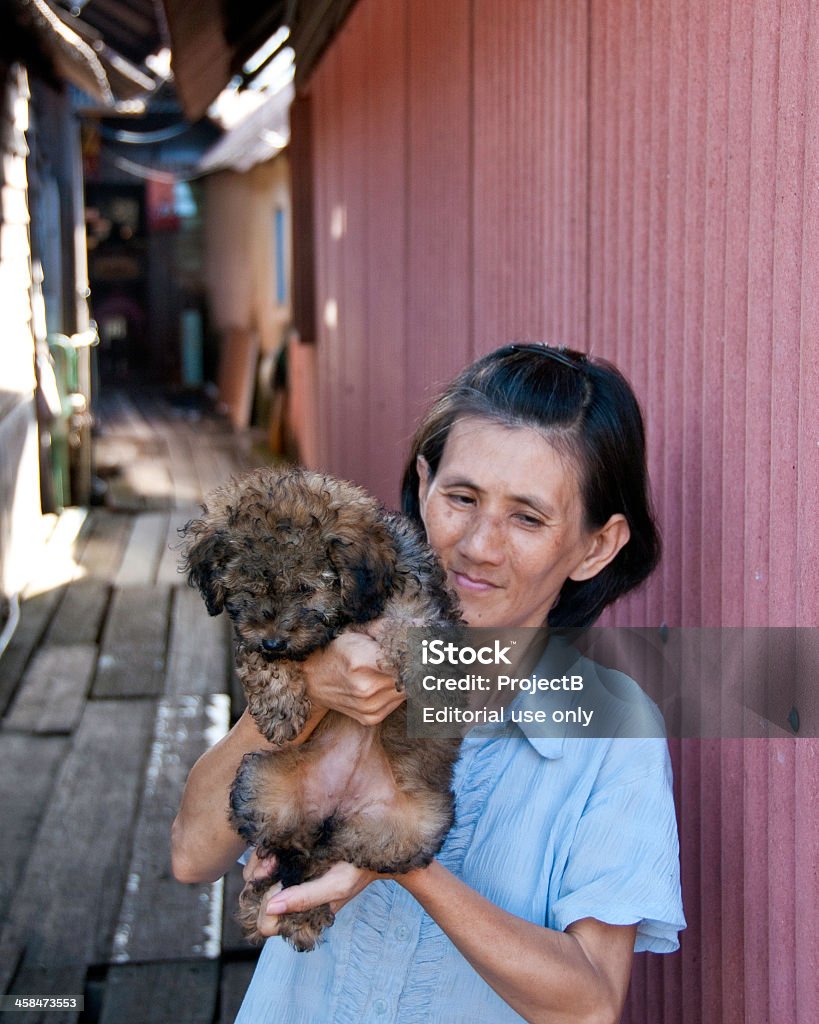 マレーシアに中国の女性彼女の自宅で子犬 - 家の中のロイヤリティフリーストックフォト