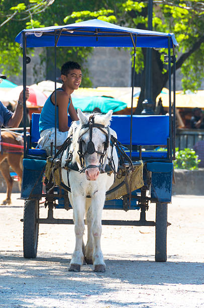 Havana, Cuba - February 16th, 2008;  Horse drawn tourist taxi driven by a very young driver