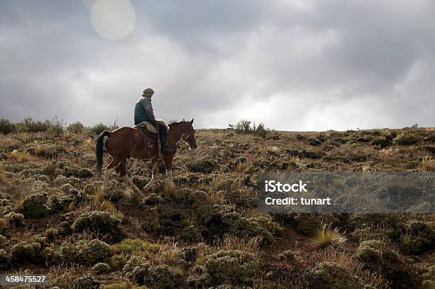 Equitazione In Patagonia - Fotografie stock e altre immagini di Ambientazione esterna - Ambientazione esterna, America del Sud, Andare a cavallo