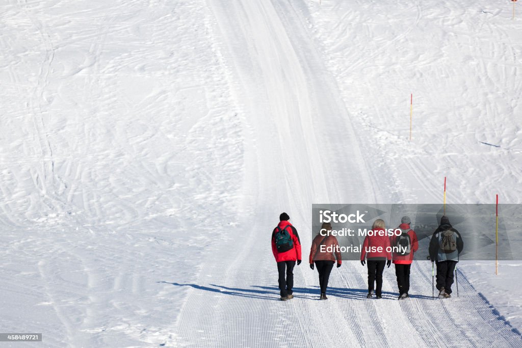Gente cammina nella neve - Foto stock royalty-free di Adulto