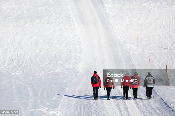 Gente Cammina Nella Neve - Fotografie stock e altre immagini di Adulto - Adulto, Alpi, Alto Adige